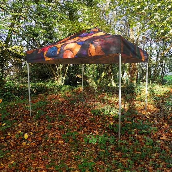 Le barnum pliant 3x3m Forêt de la collection Capsule#2 seul en situation Le barnum pliant 3x3m Forêt de la collection Capsule#2 seul en situation