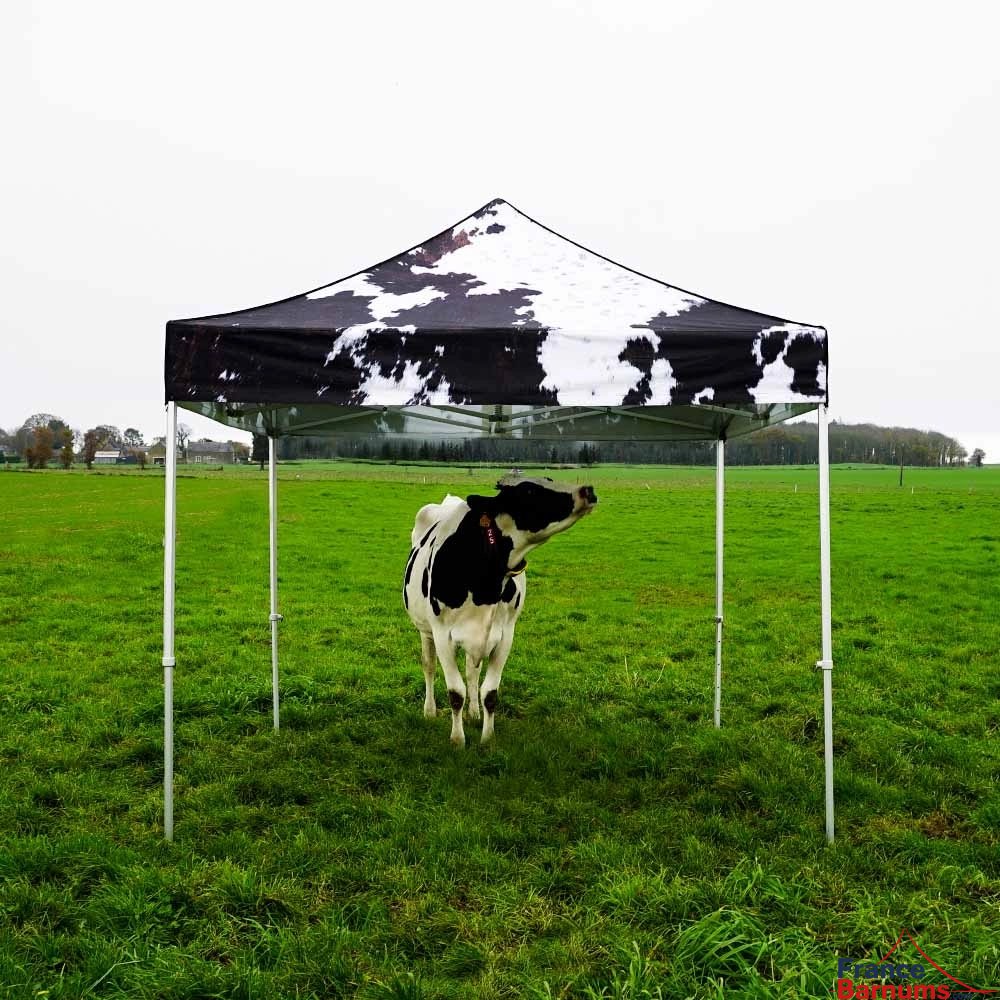 barnum imprimé Peau de Vache en situation barnum imprimé Peau de Vache en situation