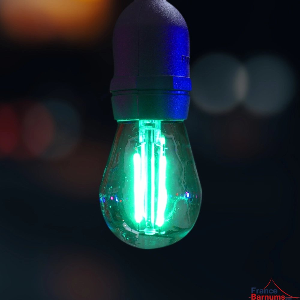 Lampe verte de guirlande guinguette multicolore pour barnum pliant et tente de réception