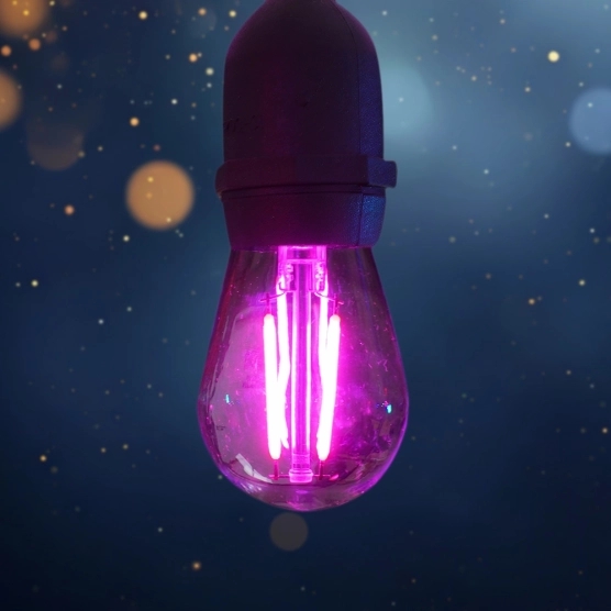 Lampe magenta de guirlande guinguette multicolore pour barnum pliant et tente de réception