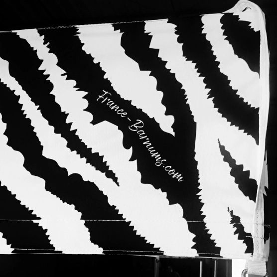 Barnum imprimé édition spéciale Zèbre