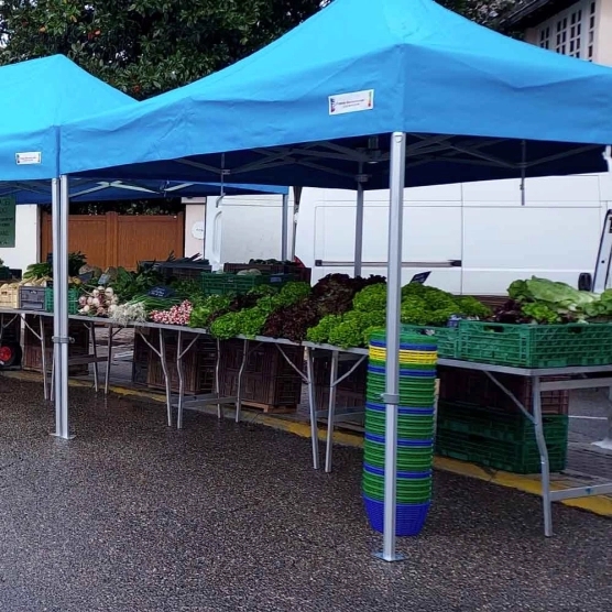 Photo d'un barnum pliant 3x3 bleu ciel de la gamme Alu Pro 55 Luxe lors d'un marché