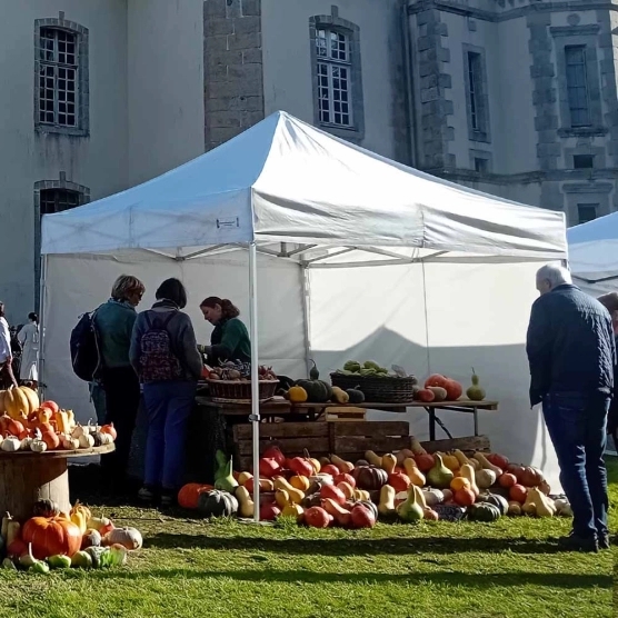 Barnum 3x3m blanc de la gamme Alu Pro 45 Luxe lors d'un marché