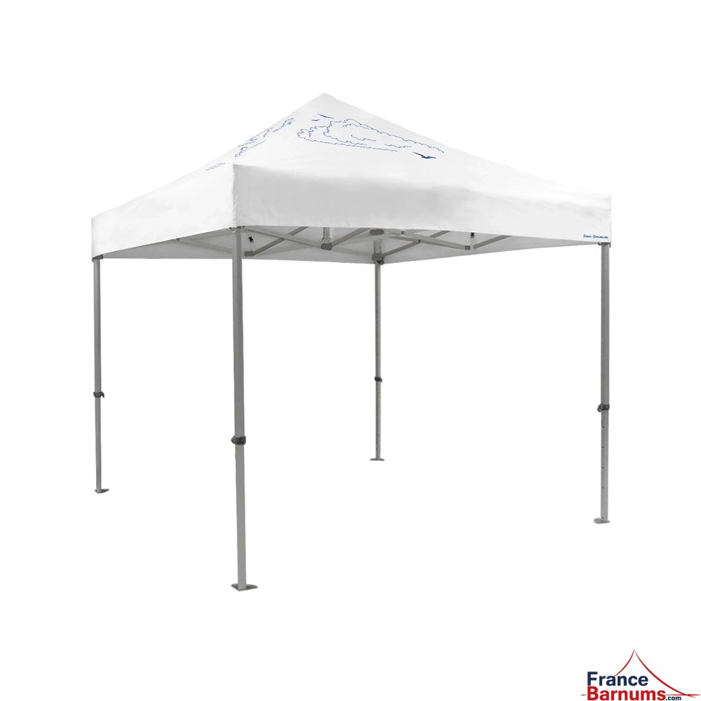 version 3d barnum pliant capsule Capsule grand large avec toit seul structure 45 luxe