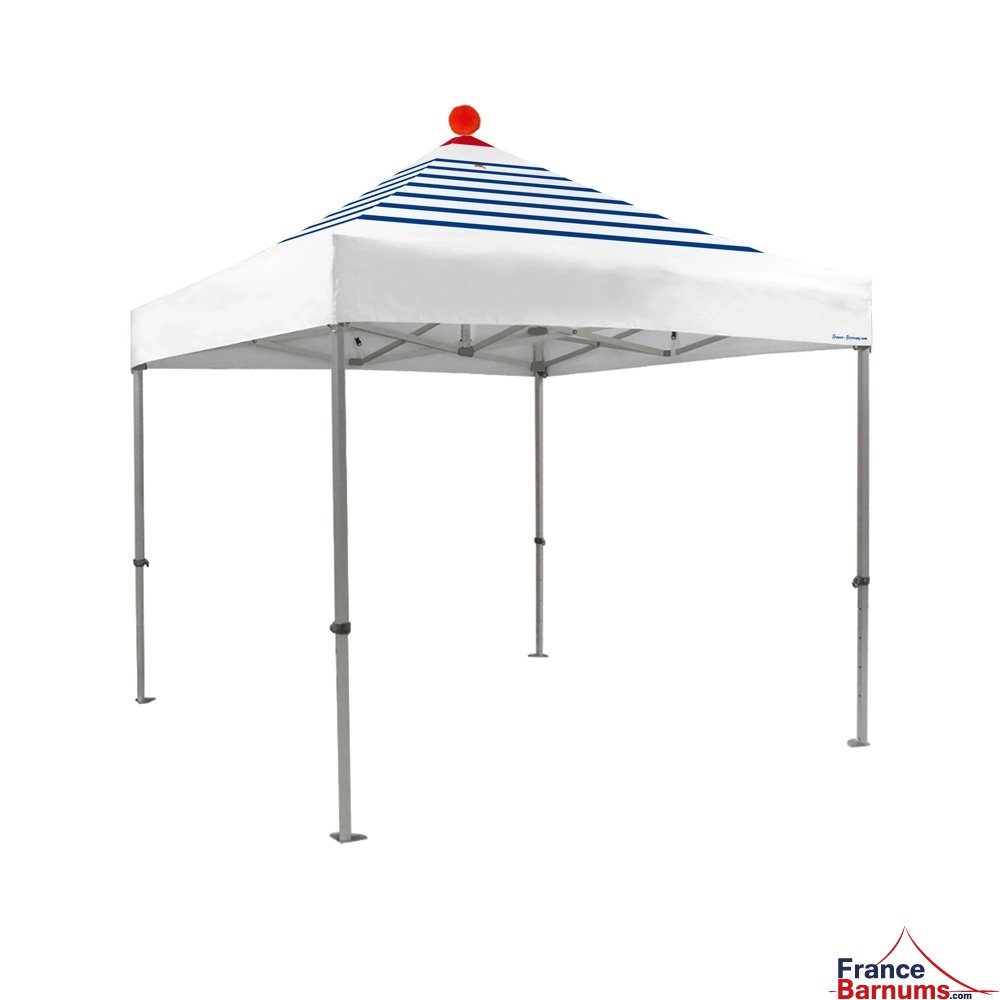 version 3d barnum pliant capsule Capsule marinière avec toit seul vue arrière structure 45 luxe