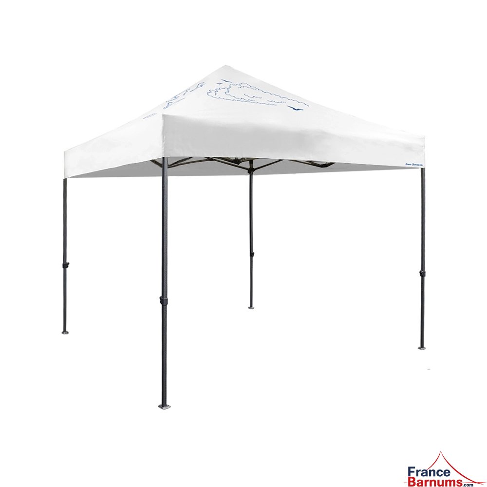 version 3d barnum pliant capsule Capsule grand large avec toit seul structure paddock