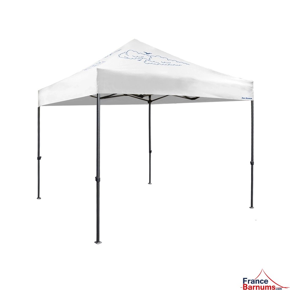 version 3d barnum pliant capsule Grand large toit seul vue de dos structure paddock