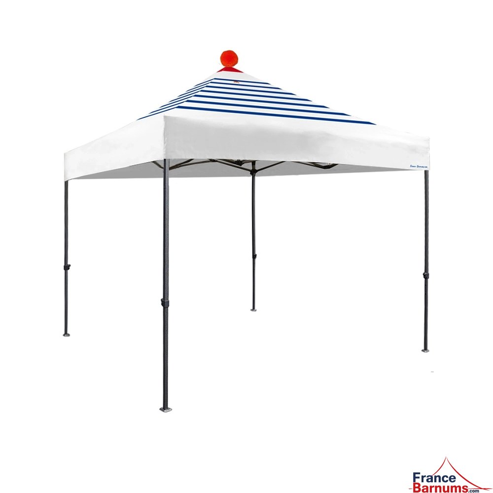 version 3d barnum pliant capsule Capsule marinière avec toit seul vue arrière structure paddock