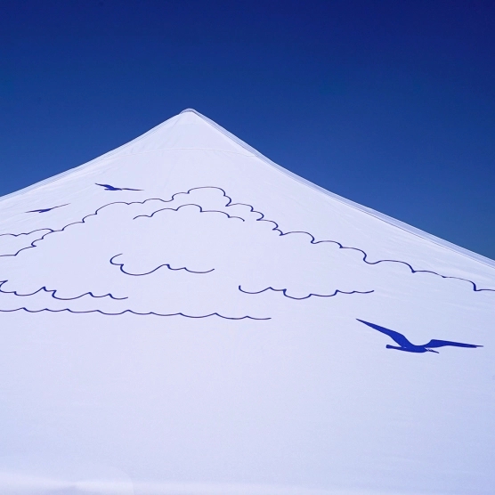 Barnum pliant imprimé - Capsule Capsule GRAND LARGE - 3mx3m