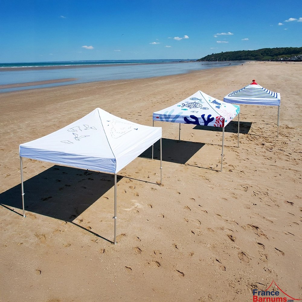 Barnum pliant imprimé - Capsule Capsule GRAND LARGE - 3mx3m