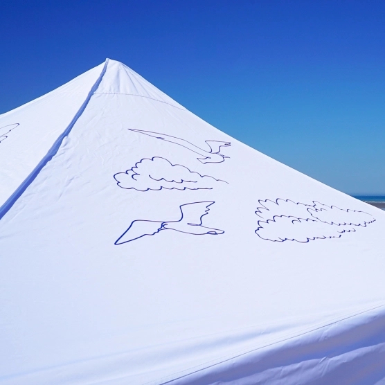 Barnum pliant imprimé - Capsule Capsule GRAND LARGE - 3mx3m