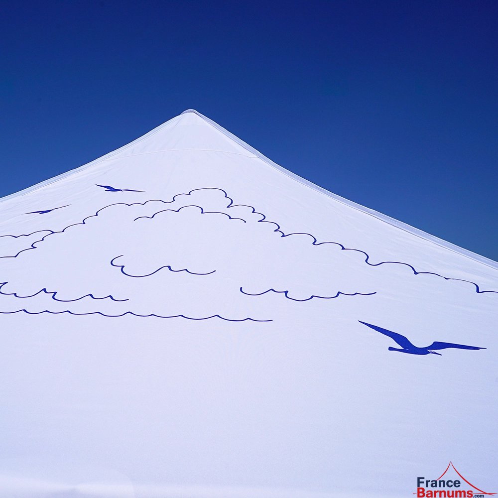 Barnum pliant imprimé - Capsule Capsule GRAND LARGE - 3mx3m