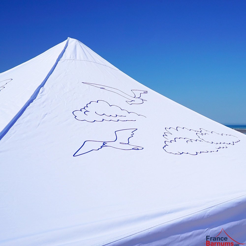 Barnum pliant imprimé - Capsule Capsule GRAND LARGE - 3mx3m