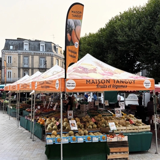 Connecteurs d'ORIFLAMME sur barnum pliant Acier Premium Alu Pro 45 Luxe Connecteurs d'ORIFLAMME sur barnum pliant Acier Premium Alu Pro 45 Luxe