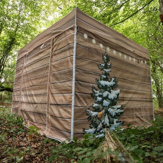 Vue arrière avec décor sapin