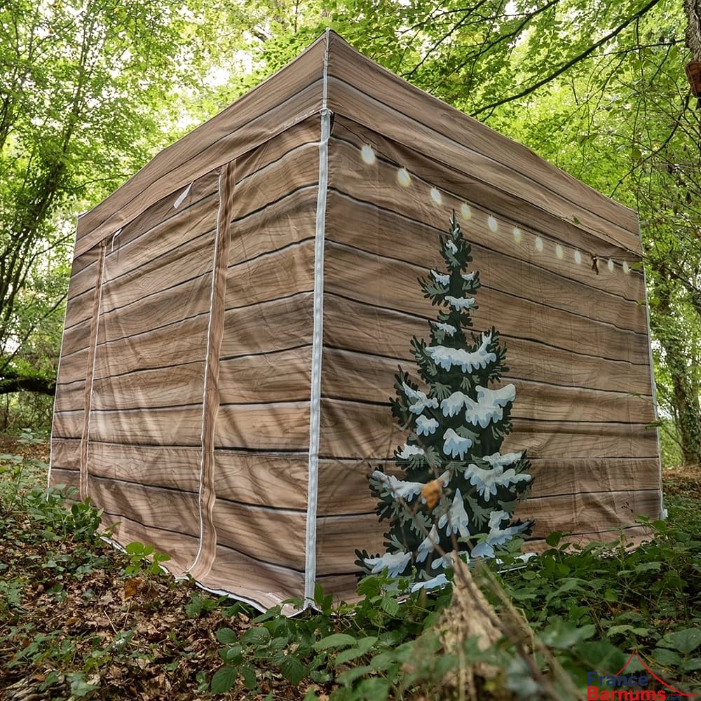 Vue arrière avec décor sapin