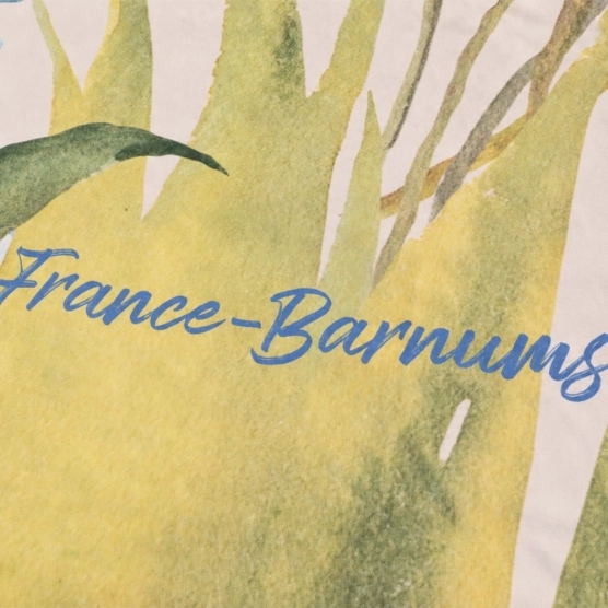 logo signature france barnums
