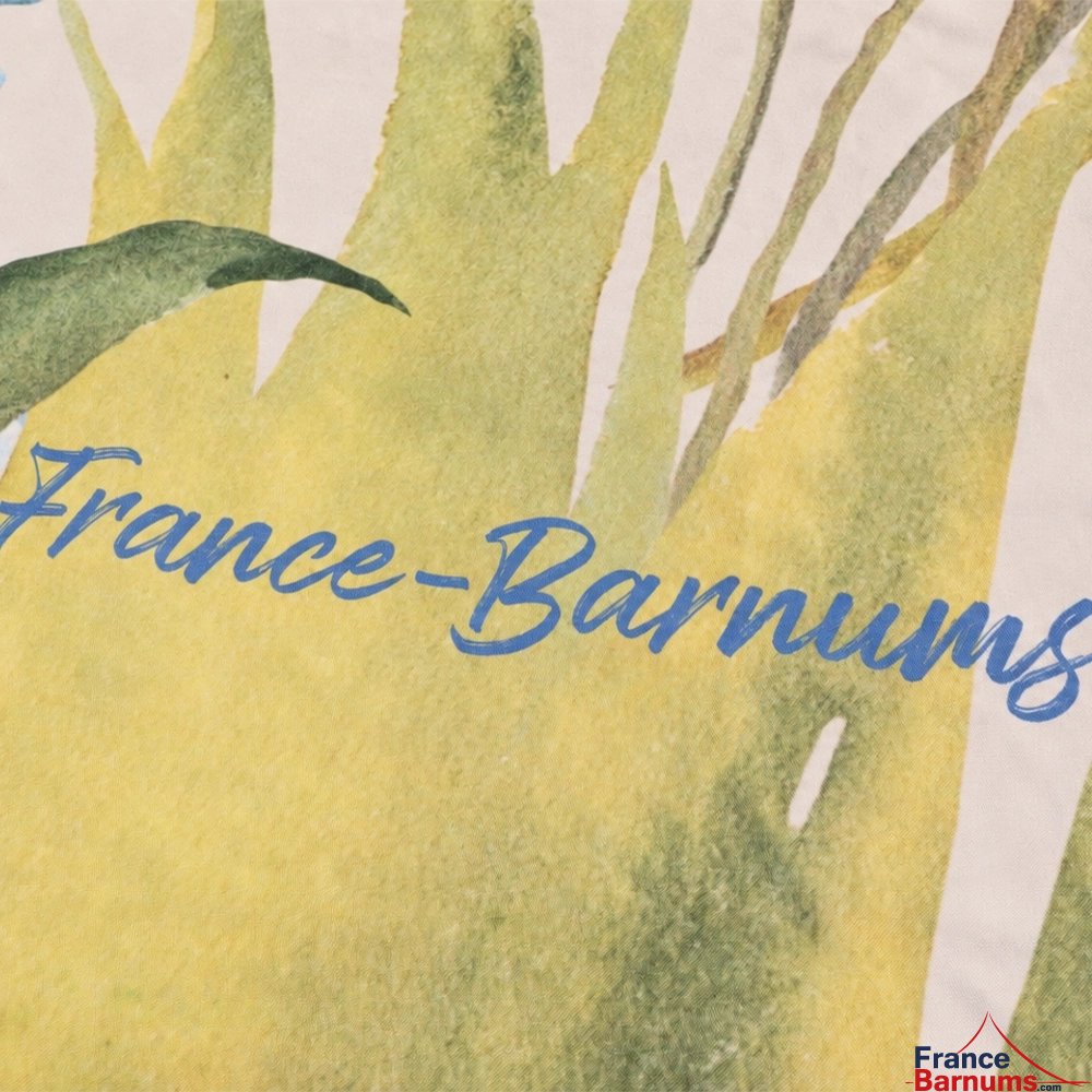 logo signature france barnums