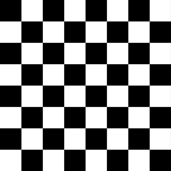 détail de l'imprimé Racing Noir