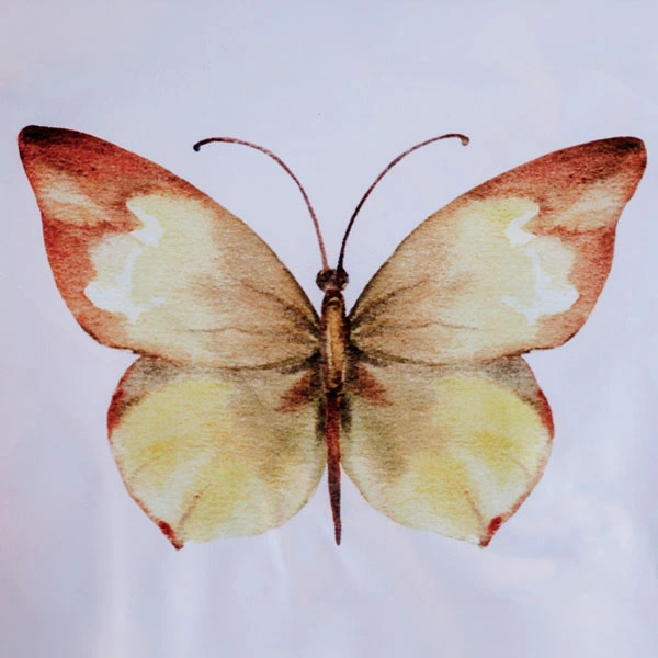 tente étoile champêtre visuel papillon jaune