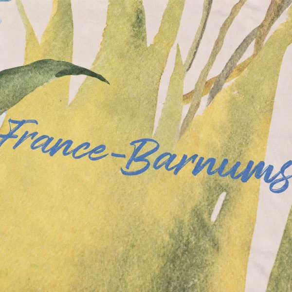 tente étoile champêtre visuel france barnums